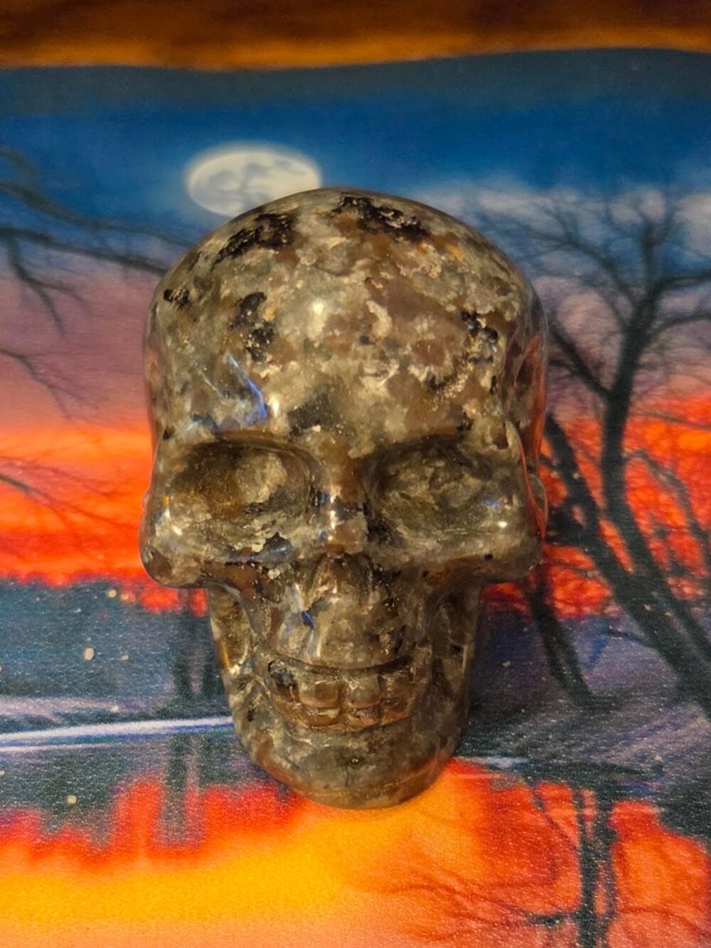 Yooperlite Crystal Skull UV Reactive Glowing Healing Stone Great HAlloween Gift